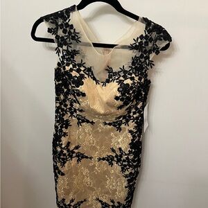 Elegant Black and Cream Lace Dress